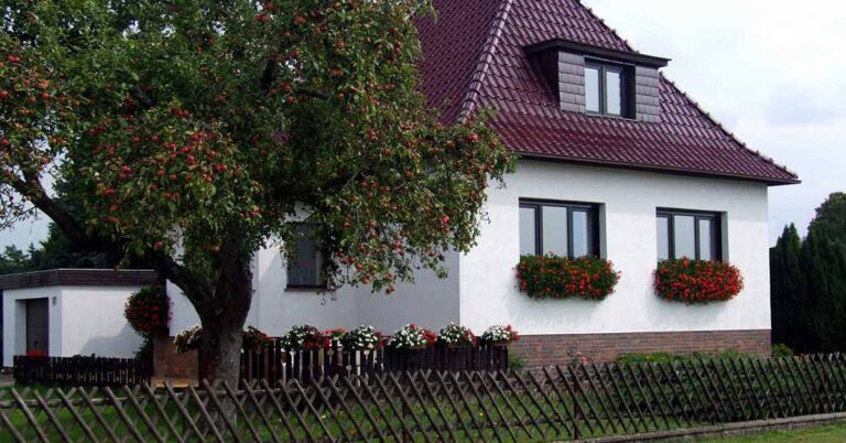 blog-image
